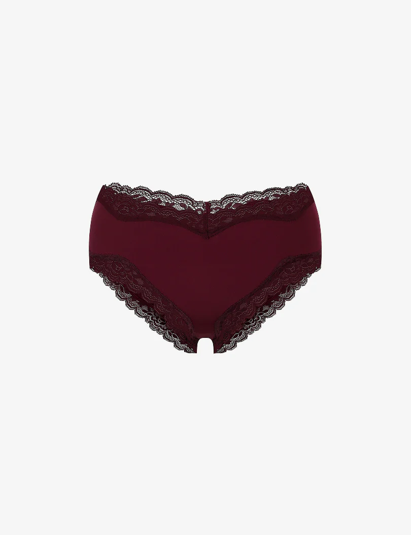 HOLIDAY PANTY CHEEKY LACE - Image 3